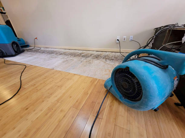 Professional Ceiling Water Damage Repair technician working in Monetta, SC